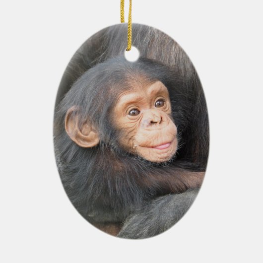 Baby Schimpanse Keramik Ornament (Hinten)