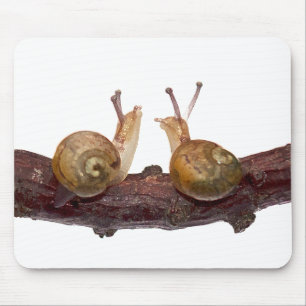 Baby-Schnecke Talk Mauspad
