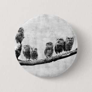 Baby-Schrei-Eulen-Knopf Button