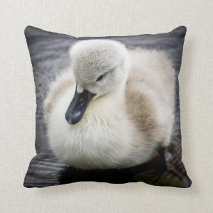 Baby-Schwan Cygnet Kissen