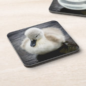 Baby-Schwan| Cygnet Untersetzer (Linke Seite)