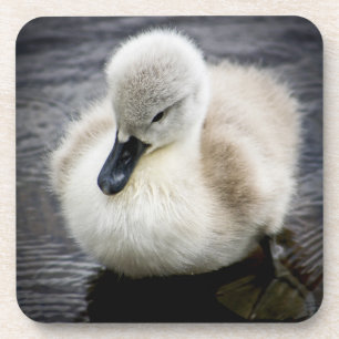 Baby-Schwan Cygnet Untersetzer