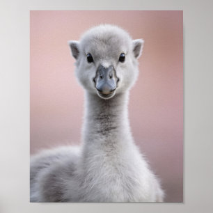 Baby-Schwan-Porträt – Süße Kinderzimmer-Tier-Wandk Poster