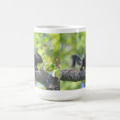Baby-schwarzes Eichhörnchen Kaffeetasse (Mittel)