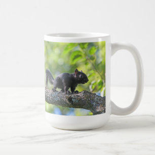 Baby-schwarzes Eichhörnchen Kaffeetasse