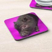 Baby-schwarzes Schwein Getränkeuntersetzer (Linke Seite)