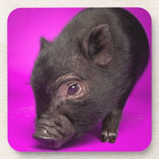 Baby-schwarzes Schwein Getränkeuntersetzer (Vorderseite)