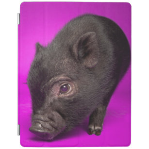 Baby-schwarzes Schwein iPad Hülle