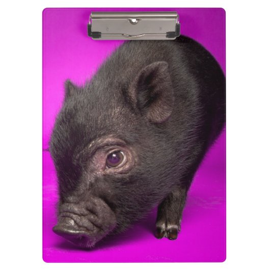 Baby-schwarzes Schwein Klemmbrett (Vorderseite)