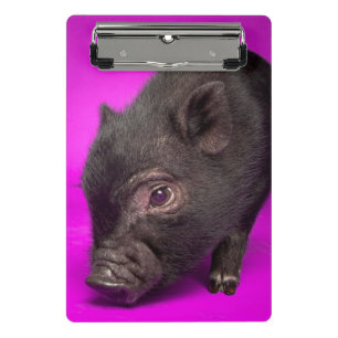 Baby-schwarzes Schwein Mini Klemmbrett