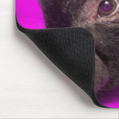 Baby-schwarzes Schwein Mousepad (Ecke)