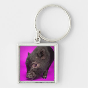 Baby-schwarzes Schwein Schlüsselanhänger