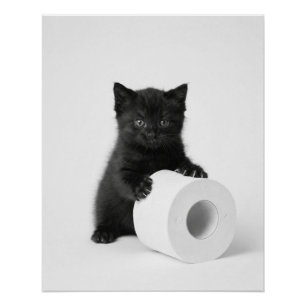 Baby Schwarzkätzchen bewacht Toilettenpapierrolle  Poster