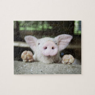 Baby-Schwein im Stift, Ferkel Puzzle