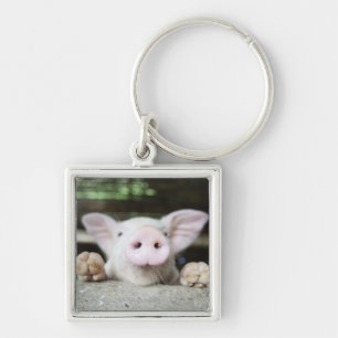 Baby-Schwein im Stift, Ferkel Schlüsselanhänger
