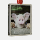 Baby-Schwein im Stift, Ferkel Silbernes Ornament (Rechts)