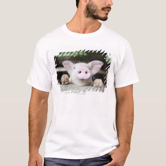 Baby-Schwein im Stift, Ferkel T-Shirt (Vorderseite)