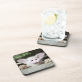 Baby-Schwein im Stift, Ferkel Untersetzer (Rechte Seite)