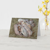 Baby-Schweine, Ferkel - niedliche Baby-Tiere Karte (Gelbe Blume)