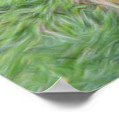 Baby Scotland Highland Cow Poster (Ecke)