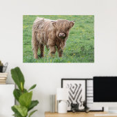 Baby Scotland Highland Cow Poster (Heimbüro)