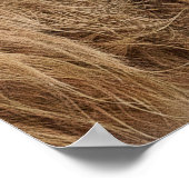 Baby Scottish Highland Cow Poster (Ecke)