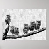 Baby Screening Owls Poster (Vorne)