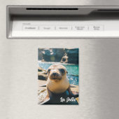 Baby Sea Lion La Jolla California Postcard Magnet (In Situ (Geschirrspüler))