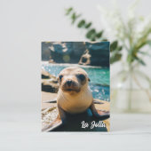 Baby Sea Lion La Jolla California Postcard Postkarte (Stehend Vorderseite)