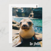 Baby Sea Lion La Jolla California Postcard Postkarte (Vorne/Hinten)