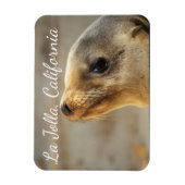 Baby Sea Lion, La Jolla, Kalifornien Magnet (Vertikal)