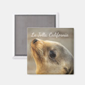 Baby Sea Lion, La Jolla, Kalifornien Magnet (Vorderseite/Rückseite)