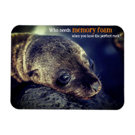 Baby Sea Lion Magnet