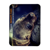 Baby Sea Lion Magnet (Vertikal)