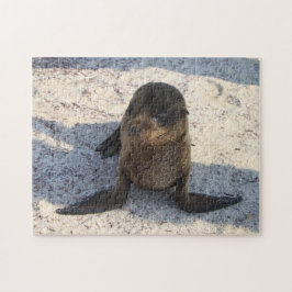 Baby Sea Lion Puzzle