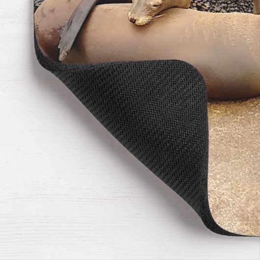 Baby Sea Lions Mousepad (Ecke)