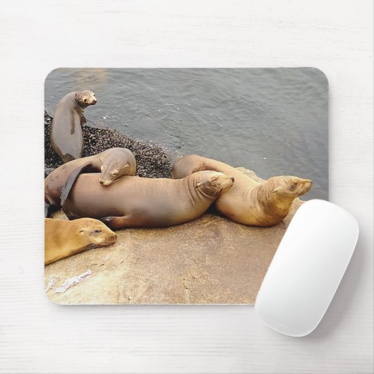 Baby Sea Lions Mousepad (Mit Mouse)