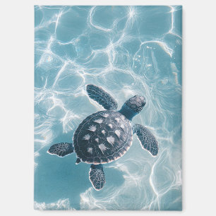 Baby Sea Turtle in klarem Wasser Magnet