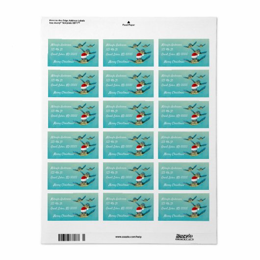 Baby Sea Turtle in Weihnachtsmannmützen Adressaufkleber (Vorne)