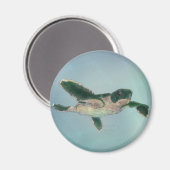 Baby Sea Turtle Magnet (Vorderseite/Rückseite)