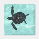Baby Sea Turtle Magnet (Vorne)