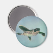 Baby Sea Turtle Magnet (Vorderseite/Rückseite)