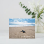 Baby Sea Turtle on Beach Postcard Postkarte (Stehend Vorderseite)