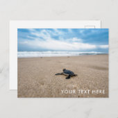 Baby Sea Turtle on Beach Postcard Postkarte (Vorne/Hinten)