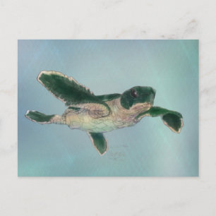Baby Sea Turtle Postkarte