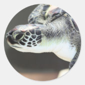 Baby Sea Turtle Sticker (Vorderseite)