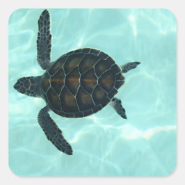Baby Sea Turtle Sticker