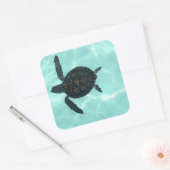 Baby Sea Turtle Sticker (Umschlag)
