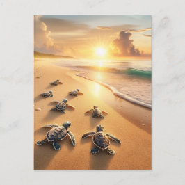 Baby Sea Turtles auf dem Weg zum Ozean am Strand Postkarte