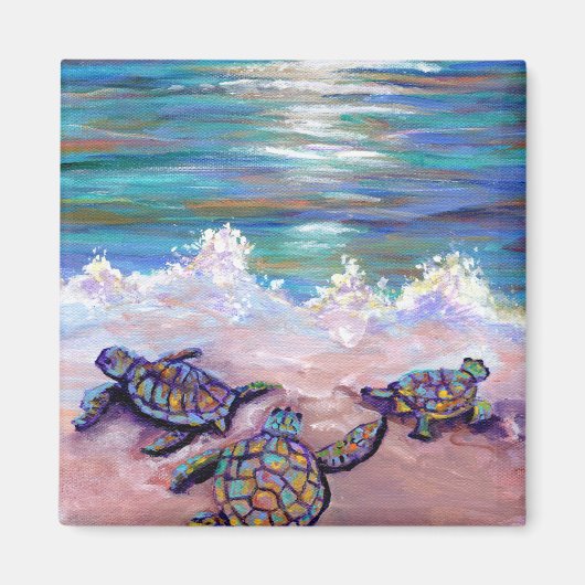 Baby Sea Turtles im Beach Magnet (Vorne)